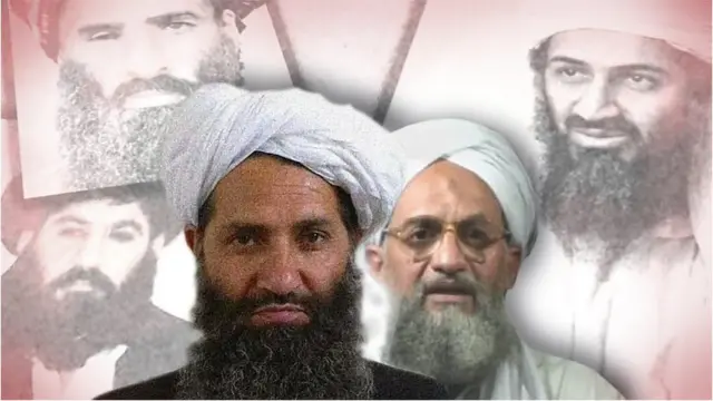 अल क़ायदा और तालिबान