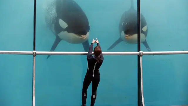 பயிற்சியாளர்