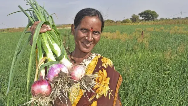 వ్యవసాయం