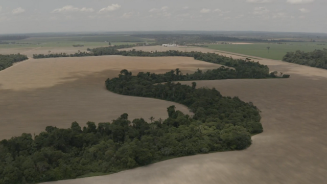 Vista aérea de fazendas de soja em Rondônia