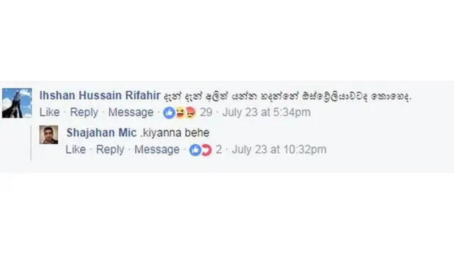 අලි මුහුදට ආවේ ඕස්ට්රේලියා යන්නද?
