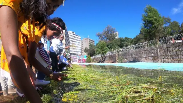 Namoota Irreefataa jiran