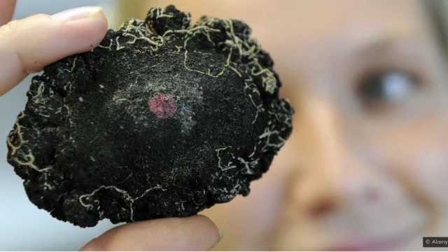 Polimetalni noduli su otkriveni u devetnaestom veku, ali donedavno su se za njih interesovali jedino naučnici.