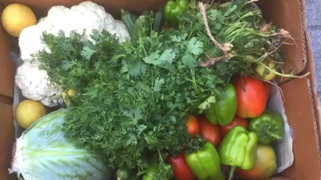 शेतकरी, कृषी, शेती, महाराष्ट्र, कोरोना