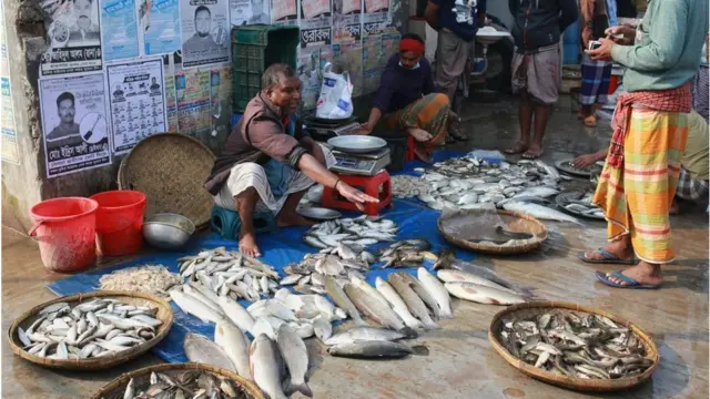 বাংলাদেশের একটি মাছ বাজার
