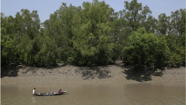 রাতের দিকে ডাকাতি করে বনদস্যুরা ।