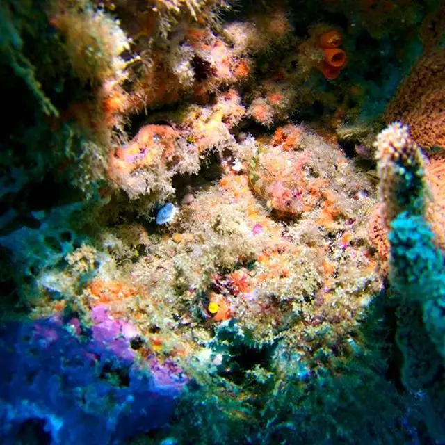 Foto de Antonio David Santos Medranda