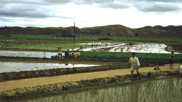 Корея в 1952 році