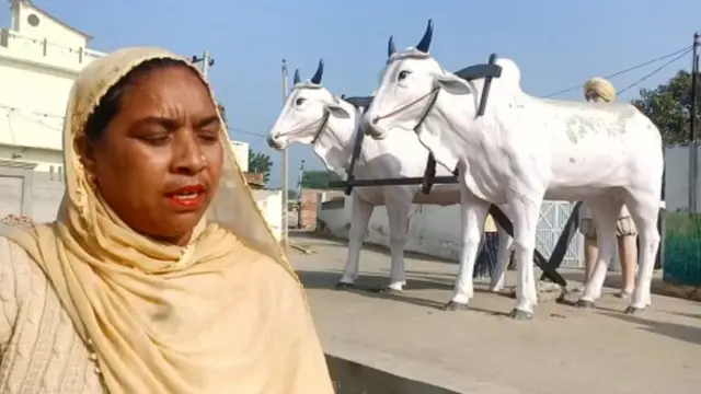 ਕਰਮਜੀਤ ਕੌਰ, ਮੈਂਬਰ ਪੰਚਾਇਤ