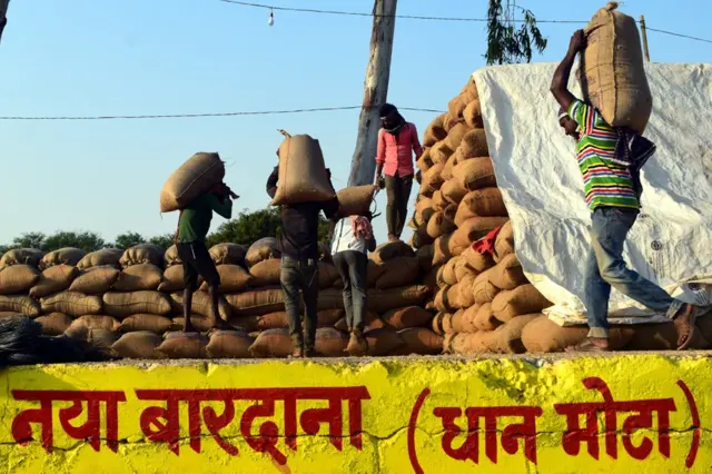 धान की मंडी