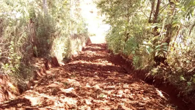 Barabara ya Nicholas Muchami