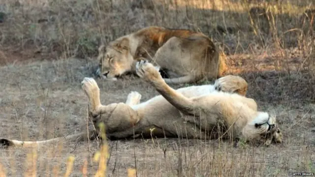 प्रातिनिधिक फोटो