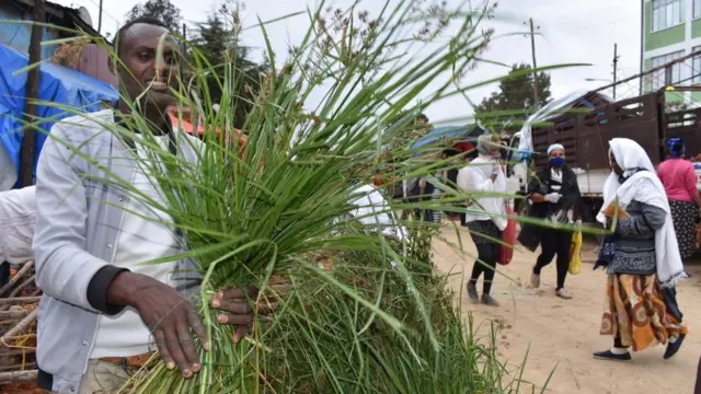 በጃንሜዳ አካበቢ የሚገኝ የቄጤማ ነጋዴ