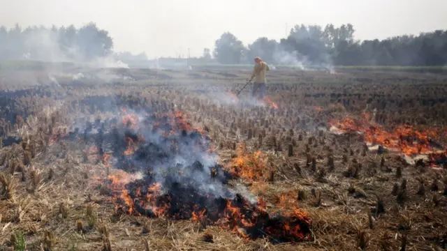 क्रॉप बर्नर