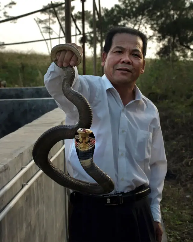 Jiang Weisong segura uma cobra pela rabo