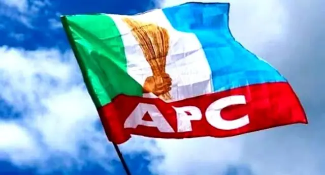APC presidential primaries: Why INEC allow APC postpone
