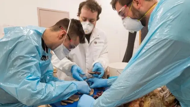 पाकिस्तान अस्पताल में लाशें