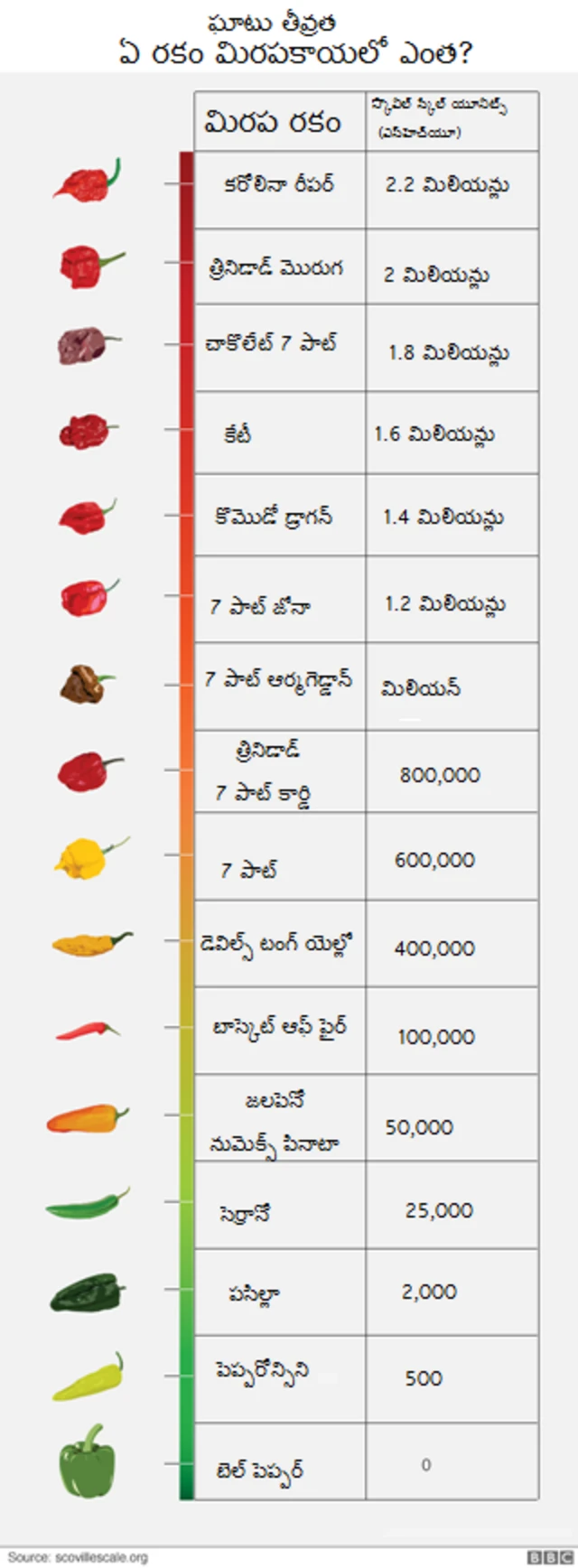 మిరపకాయల ఘాటు