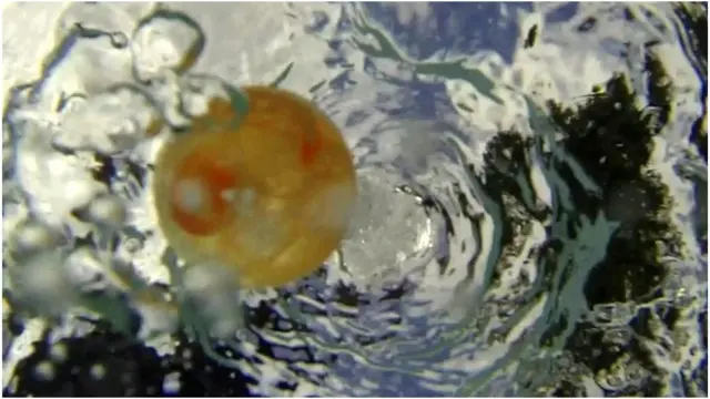 زخات المياه