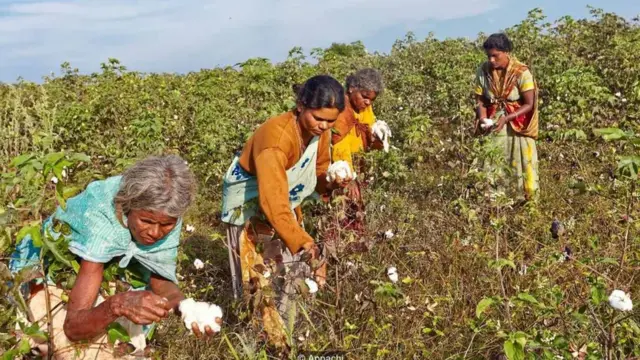 Manni Chinnaswamy thành lập hãng Appachi cotton vào năm 1996, chuyển đổi một doanh nghiệp gia đình làm vải bông 60 năm tuổi thành nơi hoạt động hoàn toàn hữu cơ