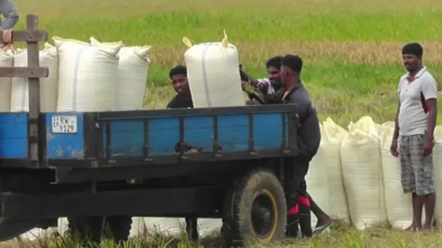 වී ගොවිතැන