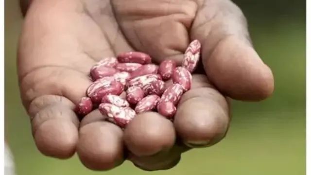 De nombreuses personnes meurent parce qu'elles mangent trop peu de noix, de graines, de fruits de mer riches en acides gras oméga 3, de légumes, de fruits et de céréales.