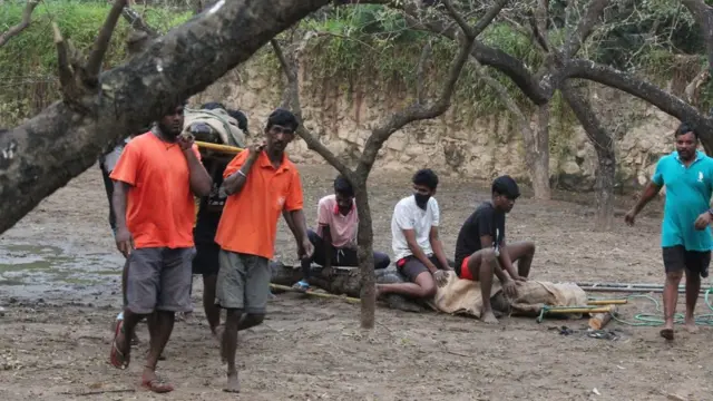 சென்னை முதலை பண்ணை