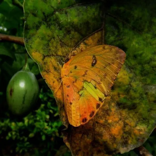 Foto de Sebastián Felipe Peralta López