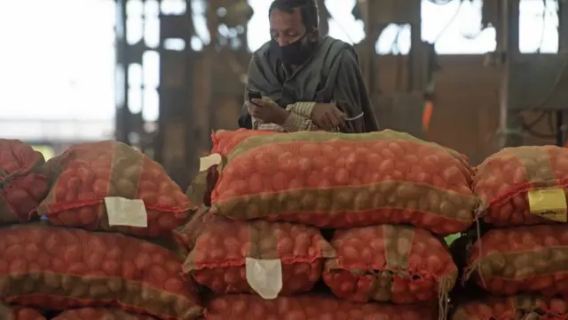 உருளைக்கிழங்கிற்கு வந்த லேட் பிலைட் நோய்க்கும் கொரோனாவுக்கும் என்ன தொடர்பு?