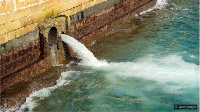 在上世纪80年代，香港一半的生活污水和工业废水会未经处理就直接排放到海中。