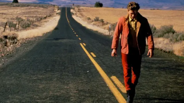 Kultno remek delo Gasa van Santa iz 1991. godine je prepuno ovako širokih perspektiva Ajdaha