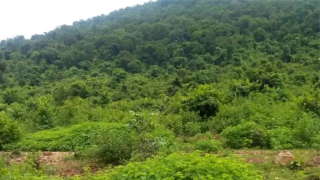 నక్సల్స్ బుడా పహాడ్