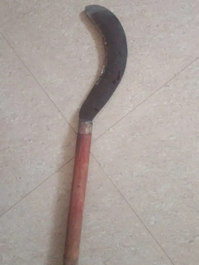 విశాఖ