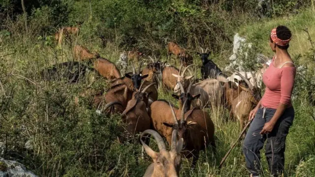 ኣጊቱ ጉደታ ምስ ኣጣላ