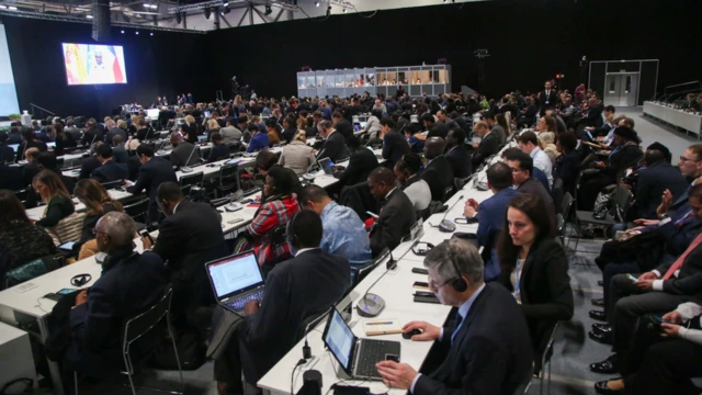 Delegados durante reunião na COP 25