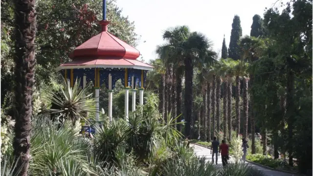 Вважається, що в межах України павловнію вперше висадили 1846-го року в Нікітському ботанічному саду в Криму