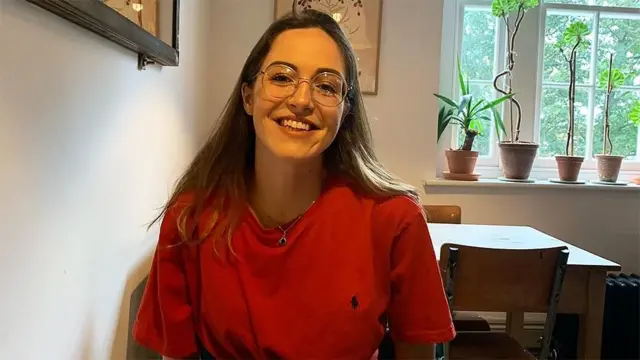 ब्राउनवेन रीड मानती हैं कि ऐसी जगह जहां परिवार भी जाते हैं लोगों का पोर्न देखना सिर्फ़ आपत्तिजनक ही नहीं बल्कि बेहद परेशान करने वाला है