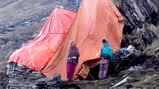 जाजरकोट यार्सा सङ्कलक महिला