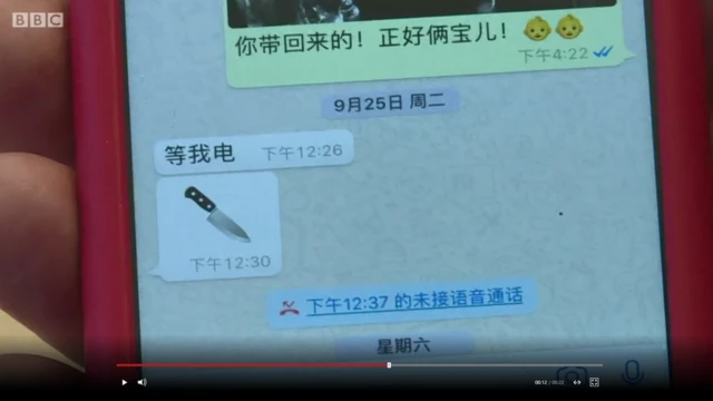 Trung Quốc, Interpol
