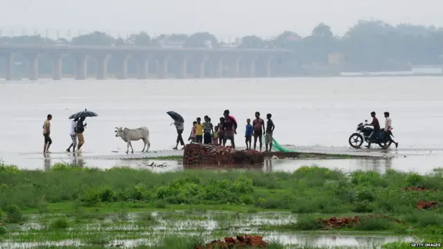 एनजीटी गंगा