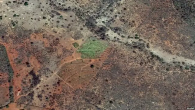 ਬ੍ਰਾਜ਼ੀਲ