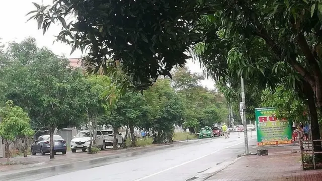 tòa