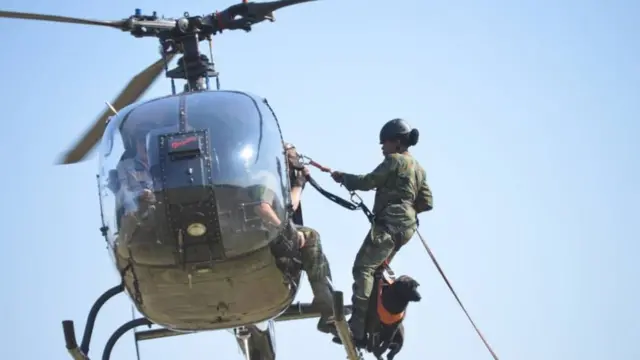 Ugboelu ndịagha Naijiria