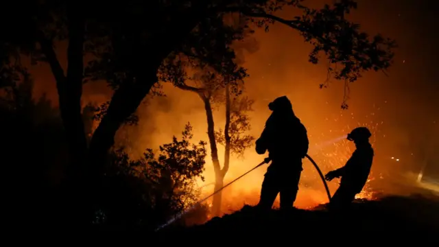 Portugal, kebakaran, hutan