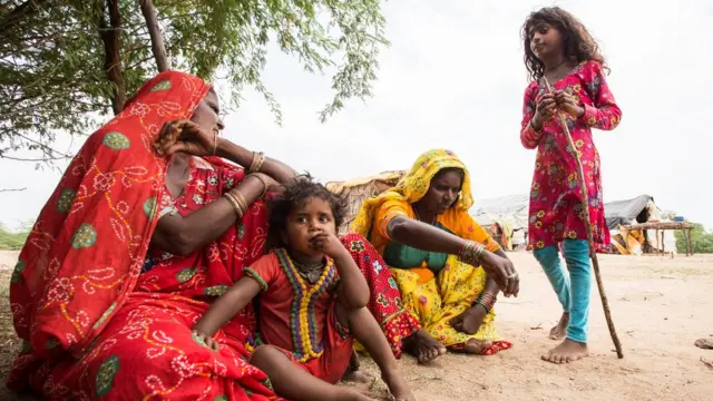 વિચરતા-વિમુક્ત સમુદાય