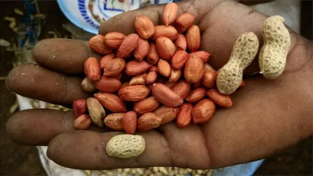 Une main tenant des arachides.