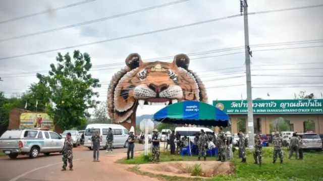 Tiger Temple attracted thousands of tourists before it was closed to the public 2016