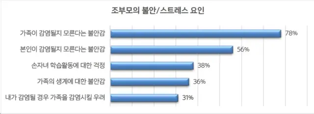 조부모의 불안/스트레스 요인