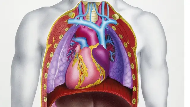 ছঘন্টা হৃদযন্ত্র বন্ধ থাকার পর আবার কাউকে বাঁচিয়ে তোলার ঘটনা এর আগে শোনা যায়নি।