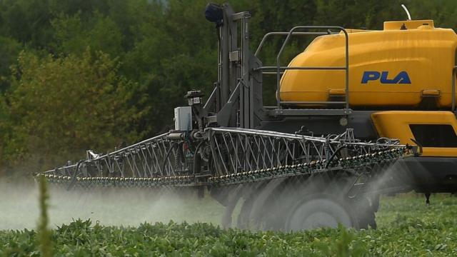 Glifosato: un jurado de EE.UU. determina que el herbicida más usado en el  mundo fue un factor sustancial en un caso de cáncer - BBC News Mundo